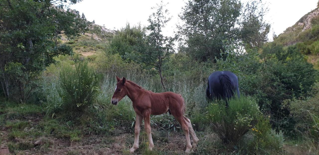 Casa Rural Carmen Luna Mallo de Luna Dış mekan fotoğraf